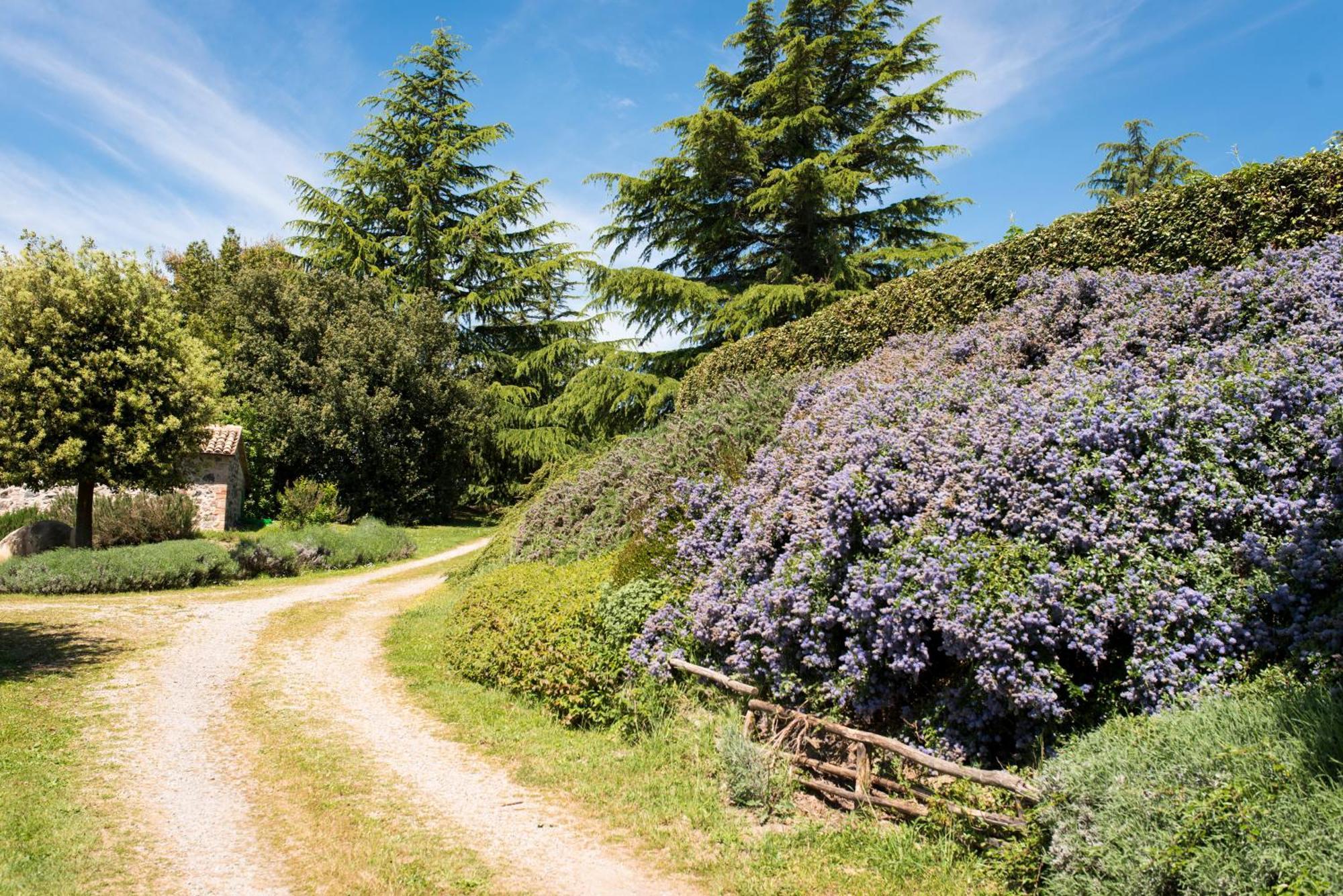 Agri Relais Il Poderaccio Di Bolsena Extérieur photo