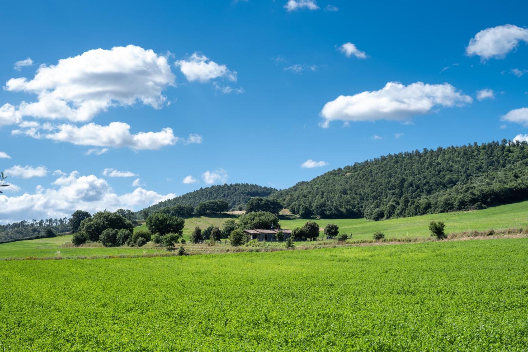 Agri Relais Il Poderaccio Di Bolsena Extérieur photo