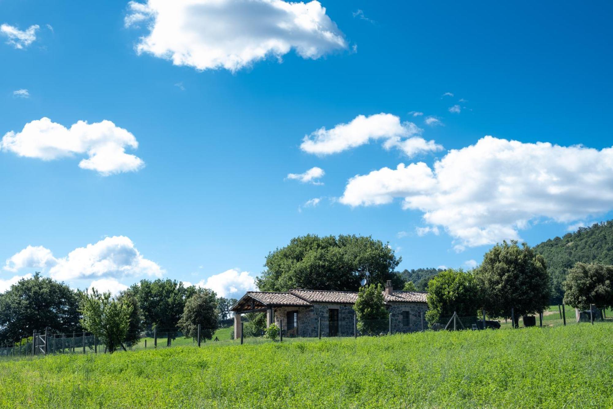 Agri Relais Il Poderaccio Di Bolsena Extérieur photo