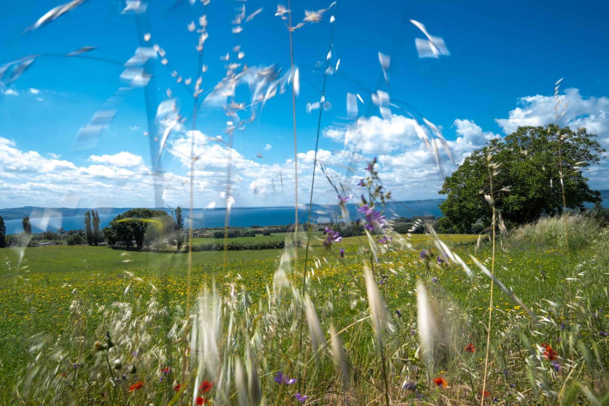 Agri Relais Il Poderaccio Di Bolsena Extérieur photo