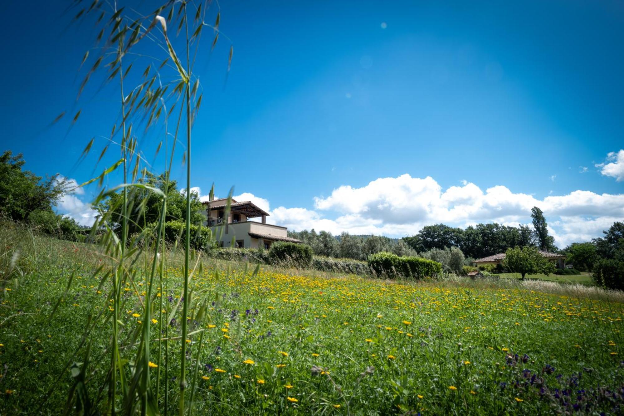 Agri Relais Il Poderaccio Di Bolsena Extérieur photo