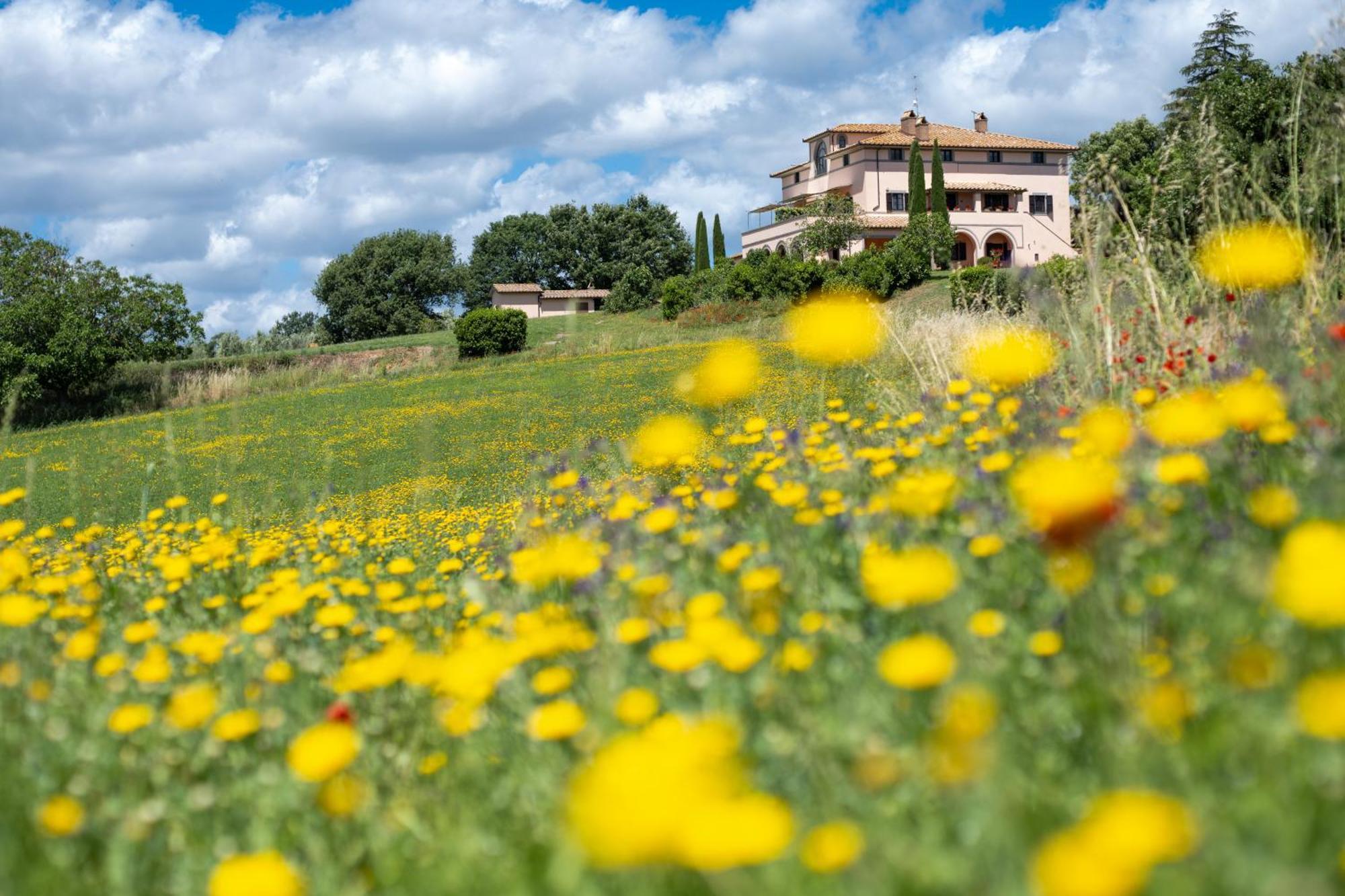 Agri Relais Il Poderaccio Di Bolsena Extérieur photo