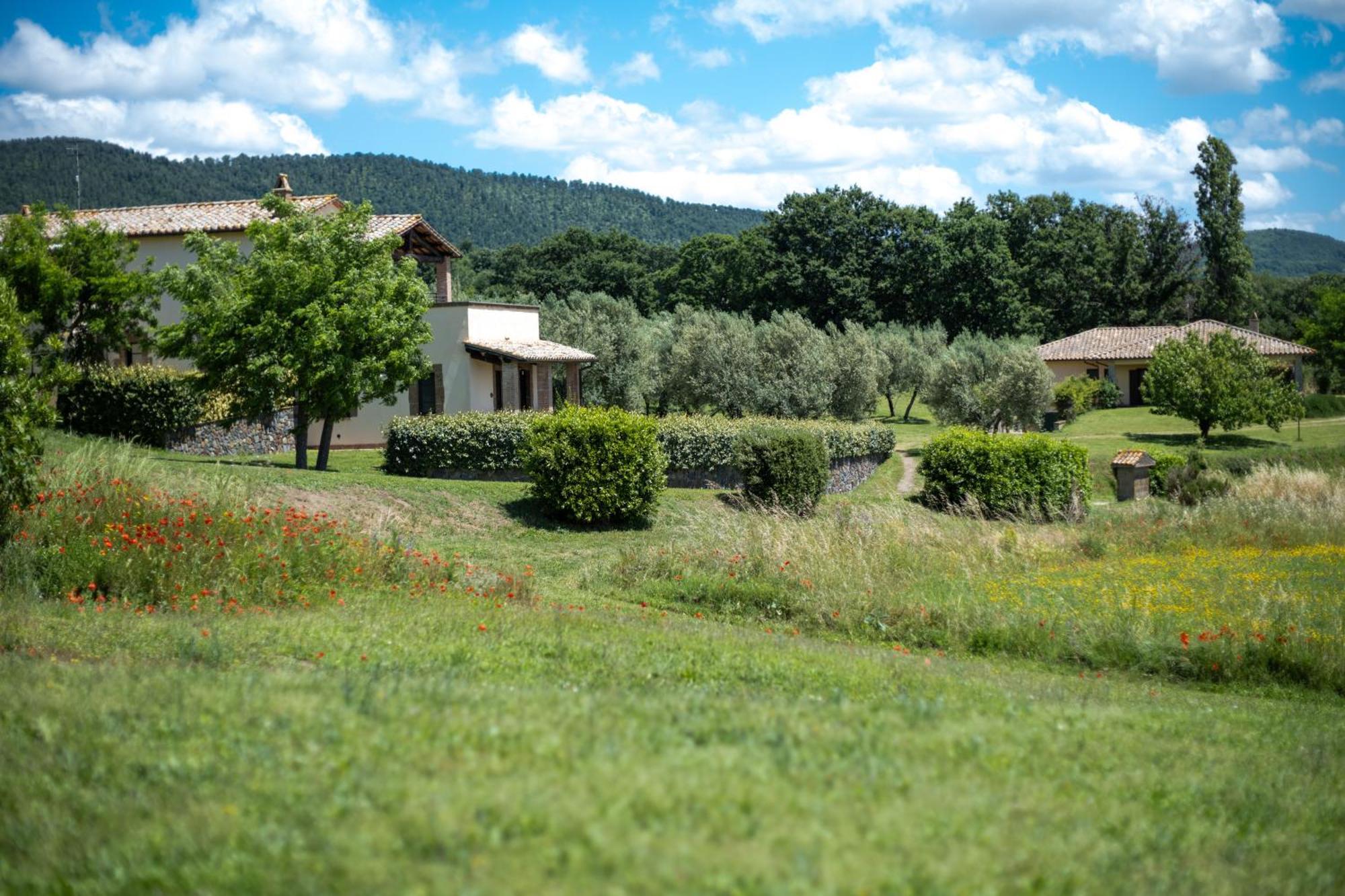 Agri Relais Il Poderaccio Di Bolsena Extérieur photo